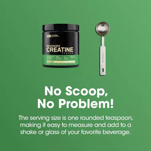 Optimum Nutrition Micronized Creatine Powder Unflavored 0.66 lb (60 Servings) | KTF-168497